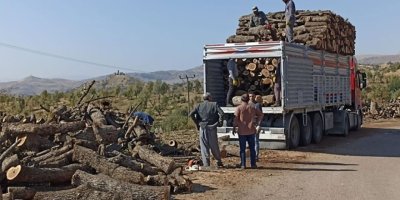 Baroya Şirnexê: Me li hemberî birîna daran 8 hezar îmze kom kirine