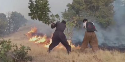 Metirsiya li ser daristanên Rojhilatê Kurdistanê: Bi hezaran hektar bûn xwelî