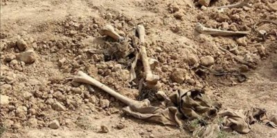 Gorekî bikom ê Êzidiyan li Şingalê hat dîtin