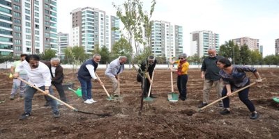 ‘Kulîlkên Azadiyê’ li Amedê dar çandin
