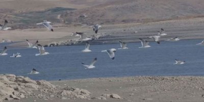 Metirsiya koçberiyê li Bokanê: Bendav ziwa dibe û debar zehmet dibe