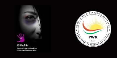 Mustafa Ozçelîk: Şîdeta li ser jinan şerm û rûreşîyek e û tawaneke li dijî mirovahîyê ye