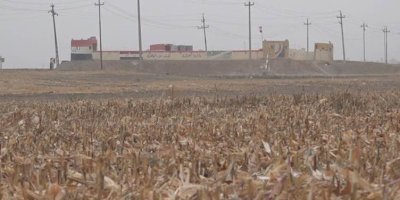 Şertê Artêşa Îraqê ji bo cotkaran: Pêşî li 'zêdegaviyê' mukir werin, paşê garis biçinin