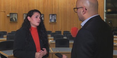 Parlamentera Alman: Divê Sûriye federal û nenavendî be