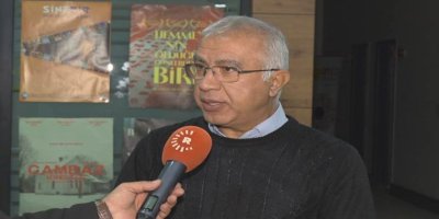 Zana Farqînî: Asîmîlasyon, wekî hespekî bi çar gavan diçe