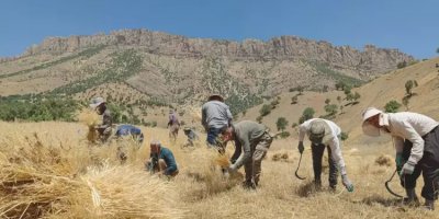 Wezareta Çandiniyê: Bexda bi wekhev li cotkarên Kurdistan û Iraqê nanêre