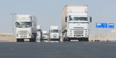 Hinardeya Diyarbekirê %26 kêm bûye