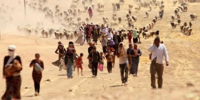 Rêxistineke Almanyayê: Me alîkariya 1200 Kurdên Êzidî kiriye