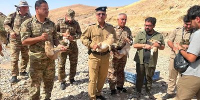 Li Germiyanê 158 nêçîrvan hatin darizandin