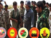 Partiyên Bakur piştevaniya Rojhilat dikin