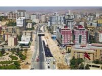 Li Qoserê bo du taxan qeyûm hatin danîn