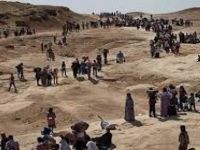 Amarên giştî yên karesata Şengalê