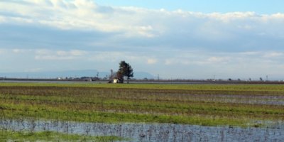 Baranê zirareke mezin da cotkaran