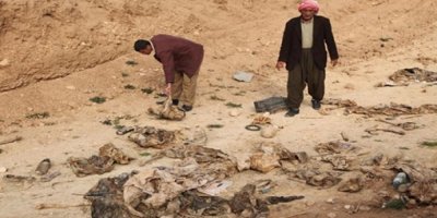 NY li ser gorên bikomî yên Kurdên Êzdî lêkolînê dike