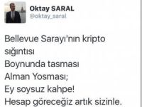 Şêwirmendê sereke yê serokkomarê Tirk Cem Ozdemirî tehdît kir