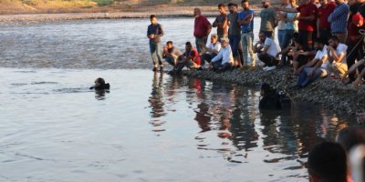 ÇEMÊ DÎCLE DE CIWANÊK XENIQÎYA