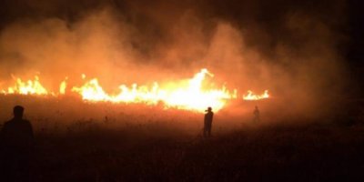 Yekîtîya Cotyarên Kurdistanê: Bexda berpirsîyarê şewitandina geniman e