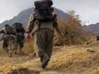 61 Kesayet; Ji PKKê re:Şerî bisekînin! /Ji dewletê re:Gav bavêje!