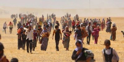 13 jin û zarokên êzdî radestî Encûmena Şingalê bûn