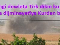 PAK: "Em bangî Dewleta Tirk dikin ku dest ji sîyaseta dijminatîya Kurdan berde"