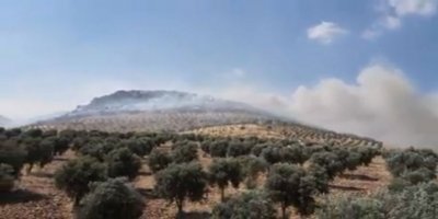 Li Efrînê çiya û darên zeytûnan tên şewitandin