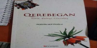 Bi Kirdkî Yewna Kitab Vejîya