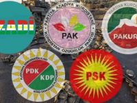 Konferans: "Roja Aştiya Cîhanê û Pirsa Kurdistanê"