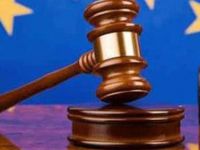 DMME ji bo zimanê kurdî Tirkiyê tawanbar kir