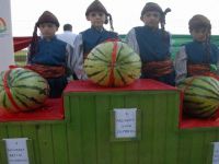 Li Dîyarbekirê ”Festîvala Çand û Zebeş” hat lidarxistin