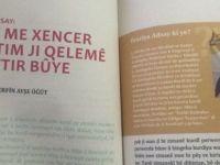 Edîtora Kovara Zarema, nivîskar û mamosteya Kurd hat girtin