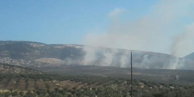 Li Efrînê Darên Zeytûnan Tên Şewitandin