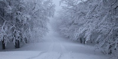 BBC: Di nav berfê de plastîk jî dibare