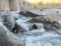 Dîyarbekir: Li Çemê Dîcleyê hemû masî mirine