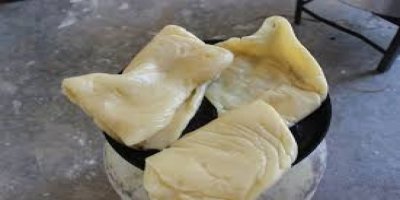 Salane 500 ton benîştê Kurdî tê berhemanîn