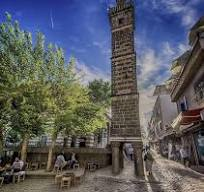 amed-carling.png