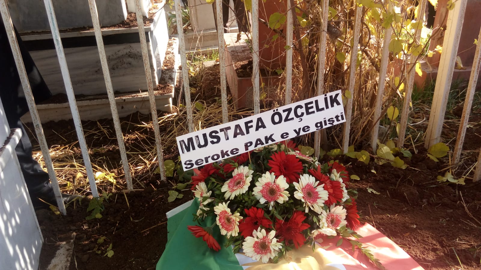ozclik.jpg