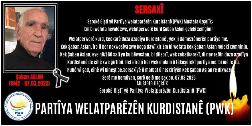 whatsapp-image-2025-03-07-at-16-46-49.jpeg