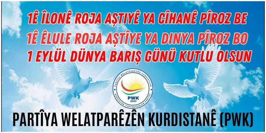 whatsapp-image-2025-09-01-at-08-22-22-001.jpeg